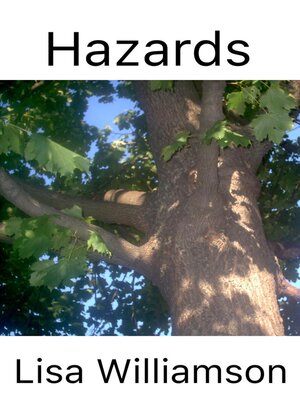 cover image of Hazards